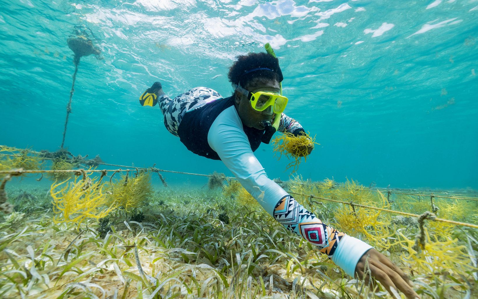 JARDÍN DE VIDA  Haley Cattouse cuida un cultivo sostenible de algas marinas que no solo ofrece oportunidades económicas a las mujeres de la zona, sino que también crea hábitats y viveros © Jennifer Adler