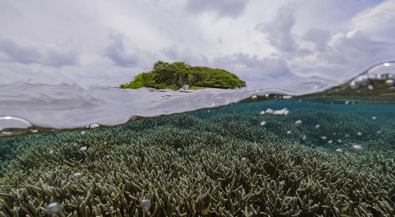 Barrier Reef of Belize