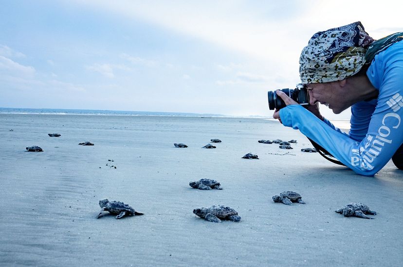 Photographer Donna Garcia crouches down to photograph sea turtle hatchlings on the beach.