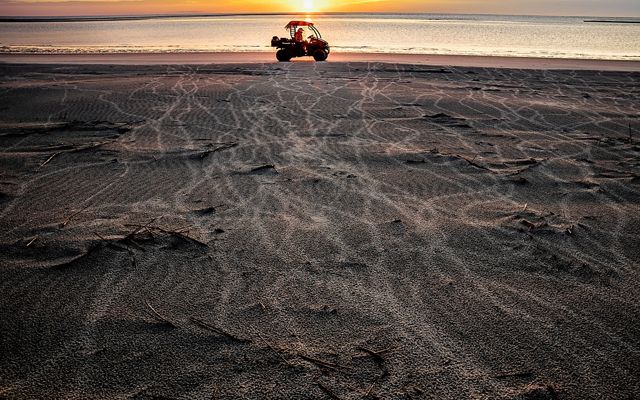 Turtle tracks run across a beach at sunrise, while a researcher in a dune vehicle drives along the edge of the shore.