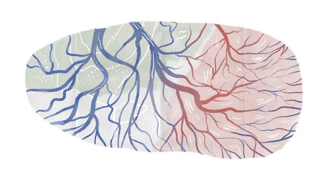 An illustration of branches of a river spreading out like veins and capillaries in red, green, and blue. 