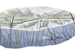 An illustration of a reedy marsh at surface level.