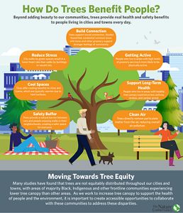 Health Benefits Of Trees | The Nature Conservancy