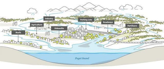 Illustration of sources of water pollution in a city.