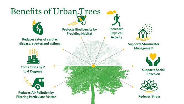 An infographic showing eight health benefits of urban trees. 