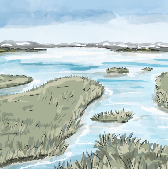 Illustration of a body of water with small grassy islands scattered throughout it.