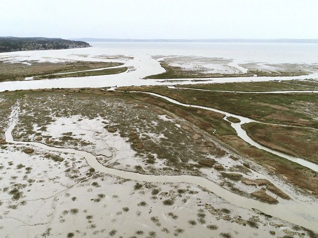 Aerial view of a series of rivulets running through an estuary at the edge of a large body of water.
