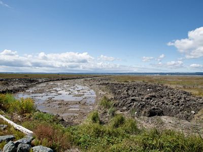 A large dirt channel with some water in it cuts through a grassy landscape.