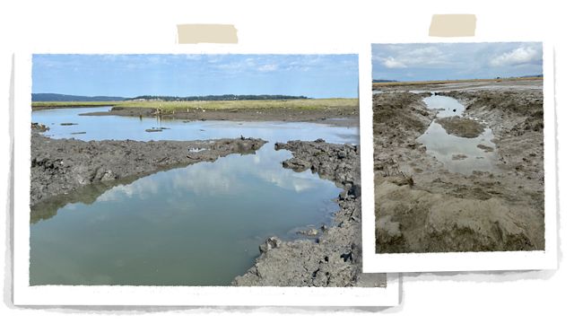 Two side by side Polaroid photos show a muddy channel filled with water.