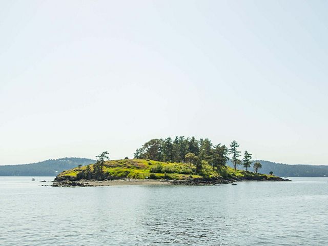 View looking across water at a small island with several trees on it.