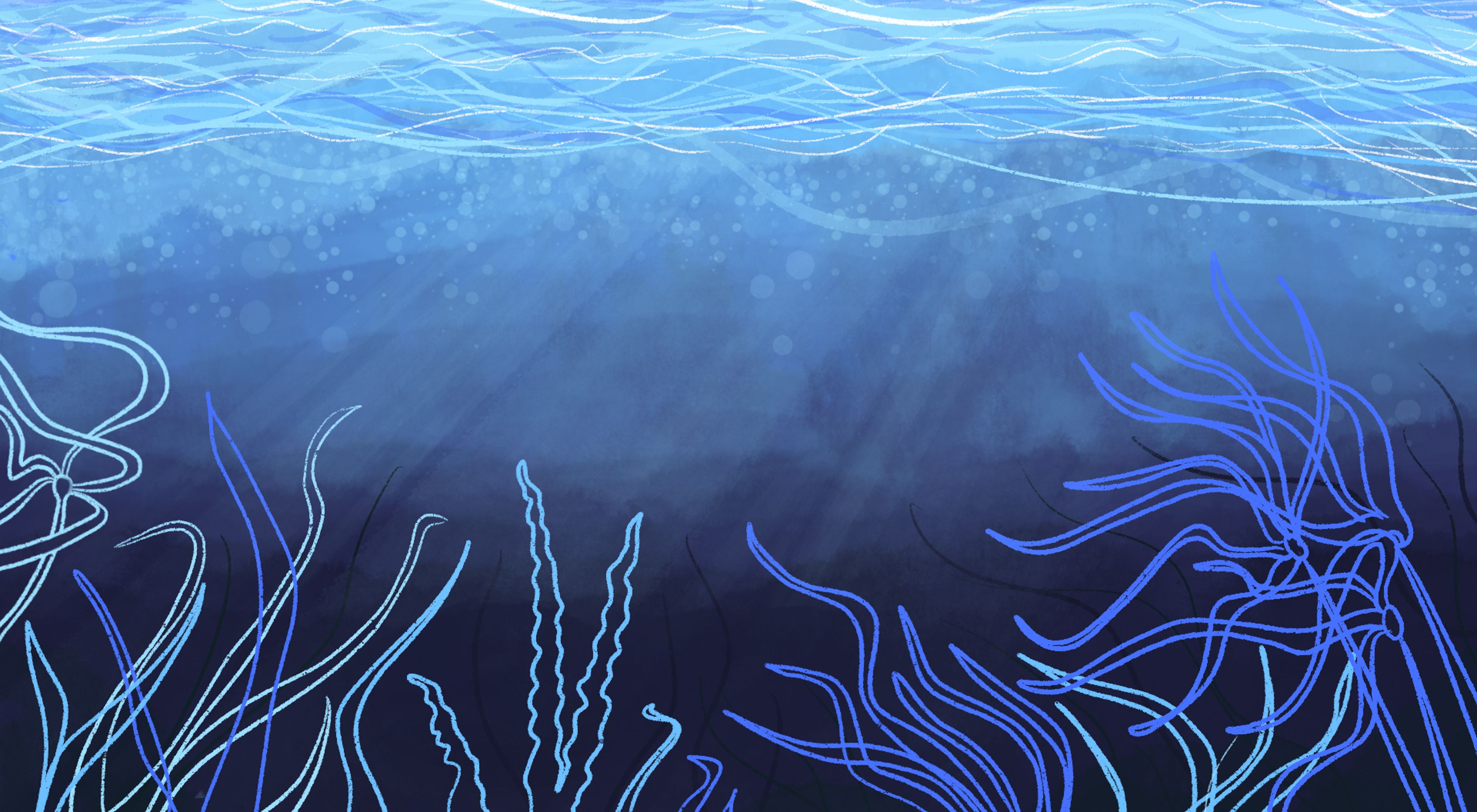 Illustration of sea grasses underwater.