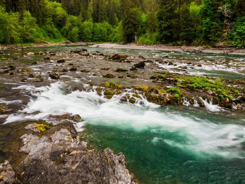 Water flows over the rock filled bed of a wide river. The water foams white as it pools and rushes into a deeper channel.