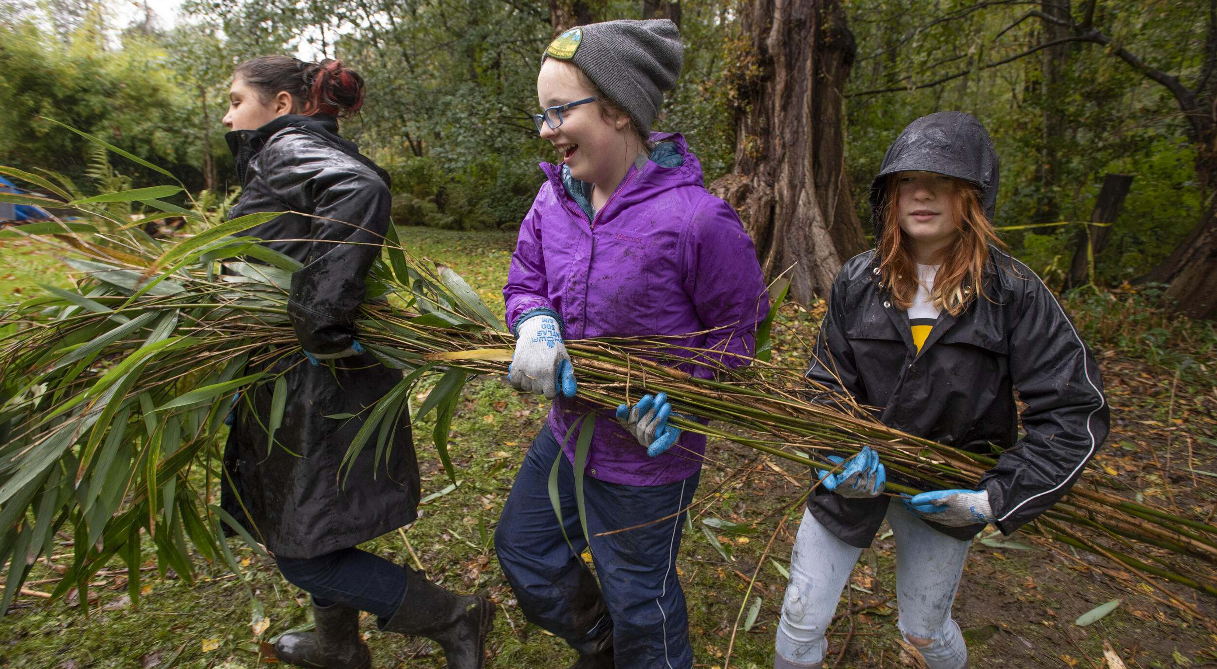 Three young people carrying a bundle of felled vegetation.