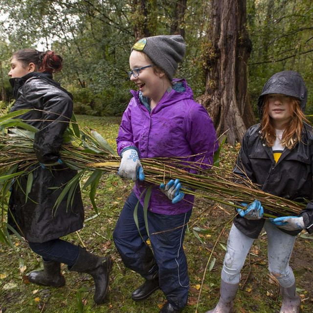 Orca Recovery Day is an annual restoration effort to help improve orca and salmon ecosystems across Puget Sound. A volunteer work party removes invasive species from salmon habitat in West Seattle along the banks of Longfellow Creek. Youth and parents from a local girl scout troupe remove invasive bamboo. Photo by Hannah Letinich.