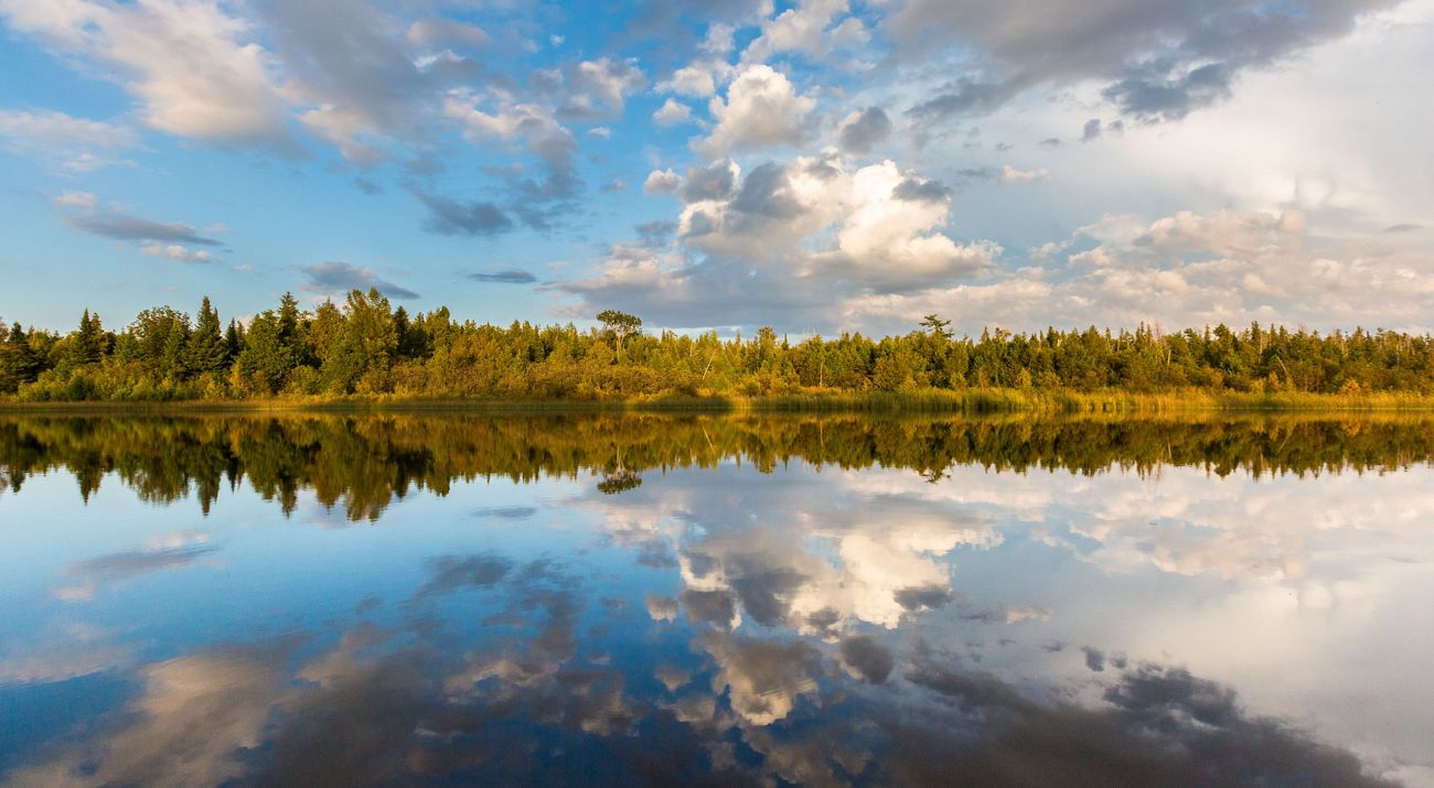 Reflection of clouds on mink river with forest in back.