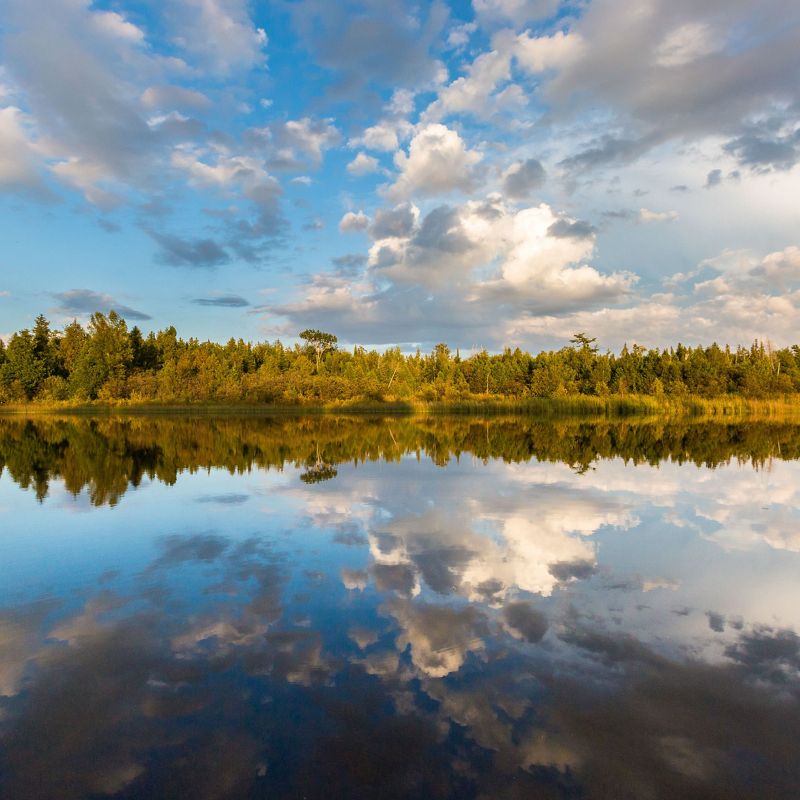 A pale blue sky with clouds is reflected in a still lake that is bordered by trees.