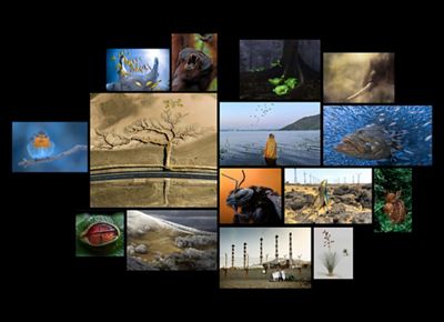 Collage of award-winning images from the 2022 Global Photo Contest.