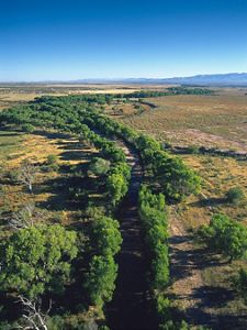 The San Pedro River flows north out of Sonora, Mexico for about 150 miles to its convergence with the Gila River.