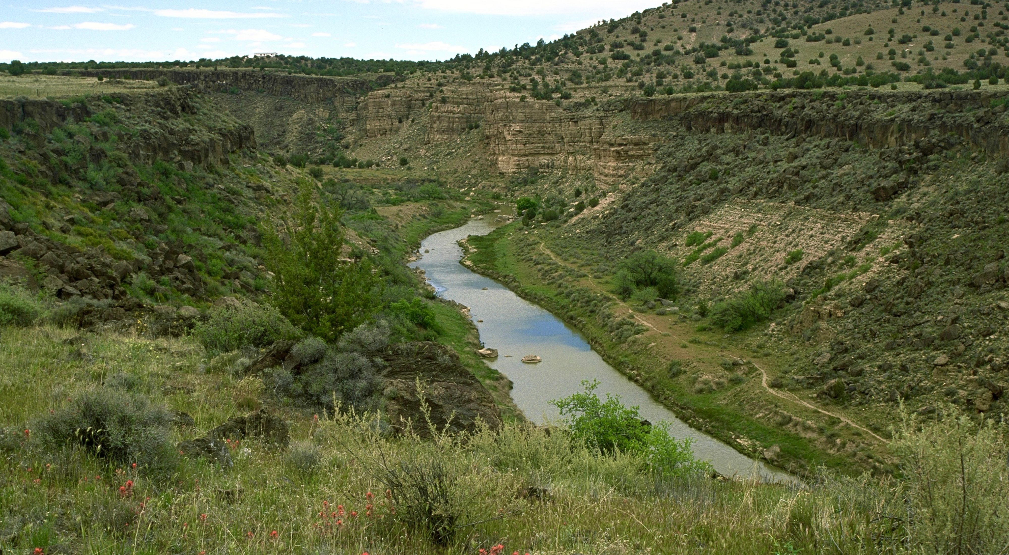 View of the Upper Verde River, a stream of water with elevated vegetation on either side.