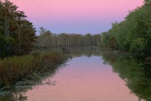 A river lined by green trees at dusk under a deep pink and purple sky. 