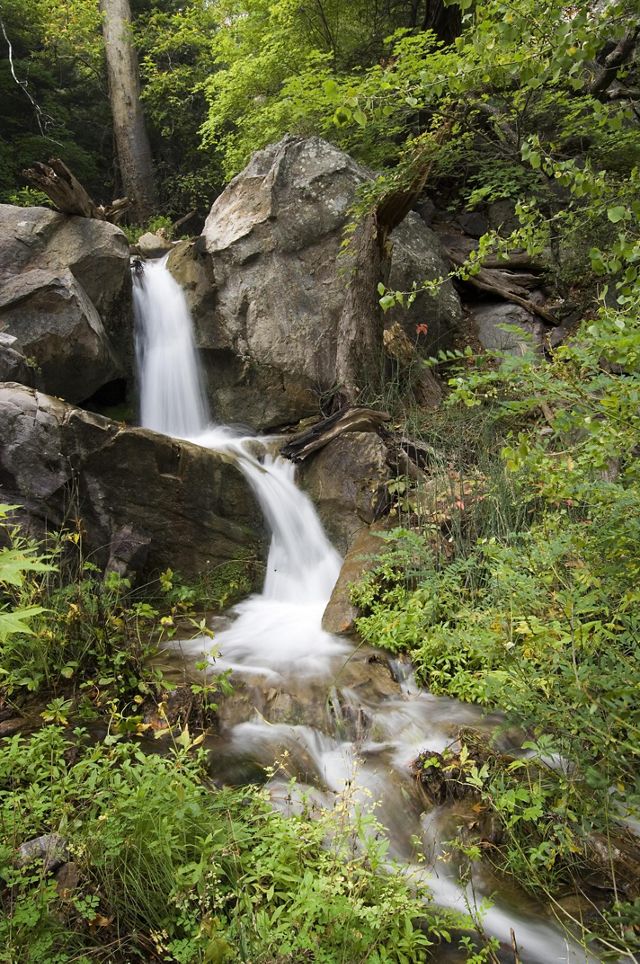 Medium closeup of a waterfall, with blurred water to show movement, surrounded by lush, green vegetation and rocks.