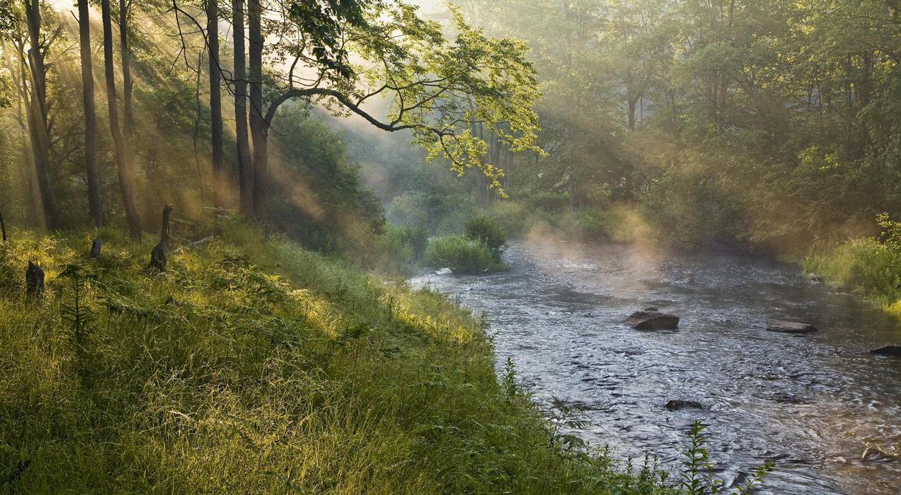 Photo of a river in early-morning fog.