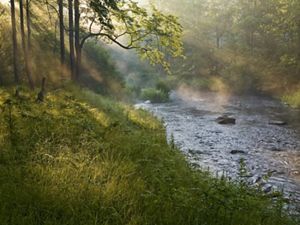 Photo of a river in early-morning fog.