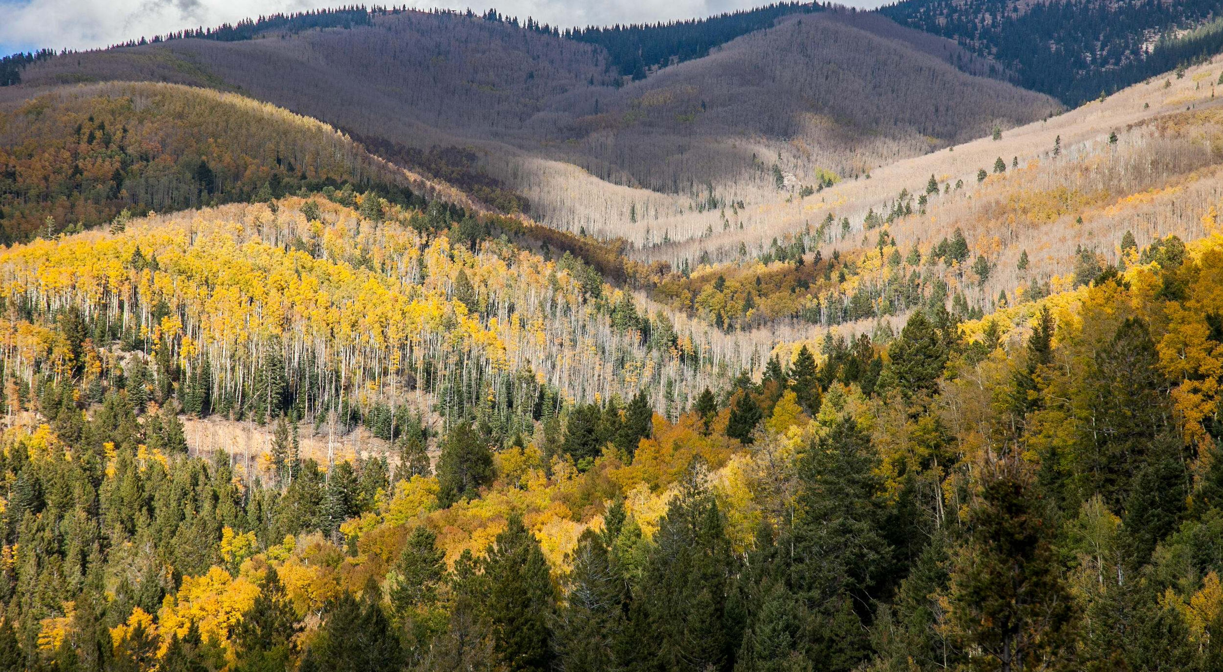View of rolling hills covered in autumn-colored forests.