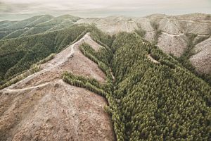 Aerial view of a mountain range that has been partially logged.