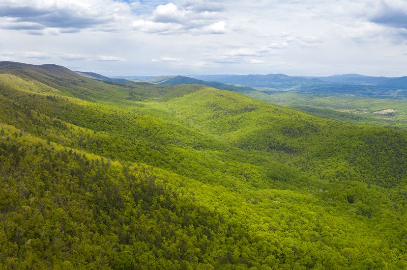 Drone view looking out over rolling mountain ridges and valleys. The mountain sides are thickly forested. Sunlight dapples over the trees. Small clearings and farms are visible in the distance.