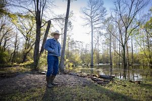  A man in a cowboy hat stands beside a bayou filled with trees.