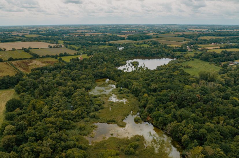 Aerial view of the Wendling Beck with a mixture of wetlands, woodlands and farmland.