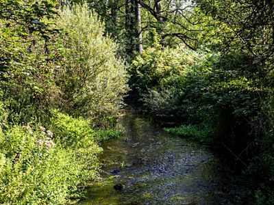 Wendling Beck chalk stream.