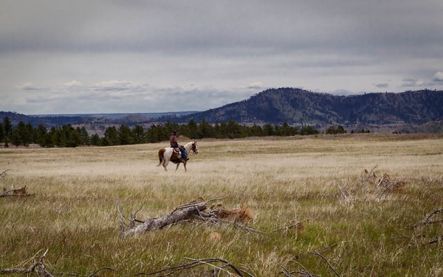 Person riding a horse in the Black Hills