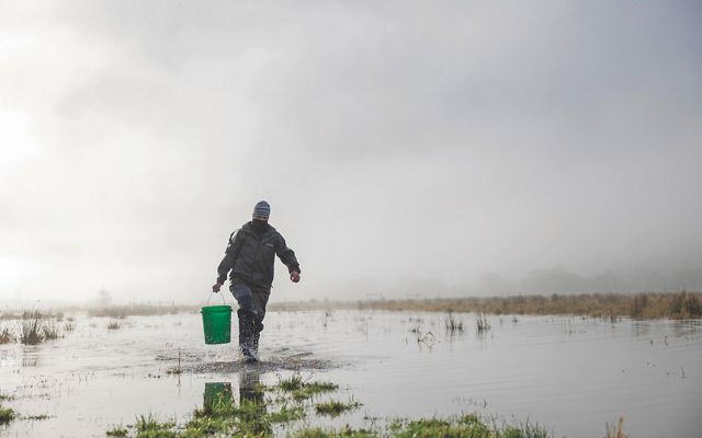 A person in rain gear carries a green bucket across a wetland.