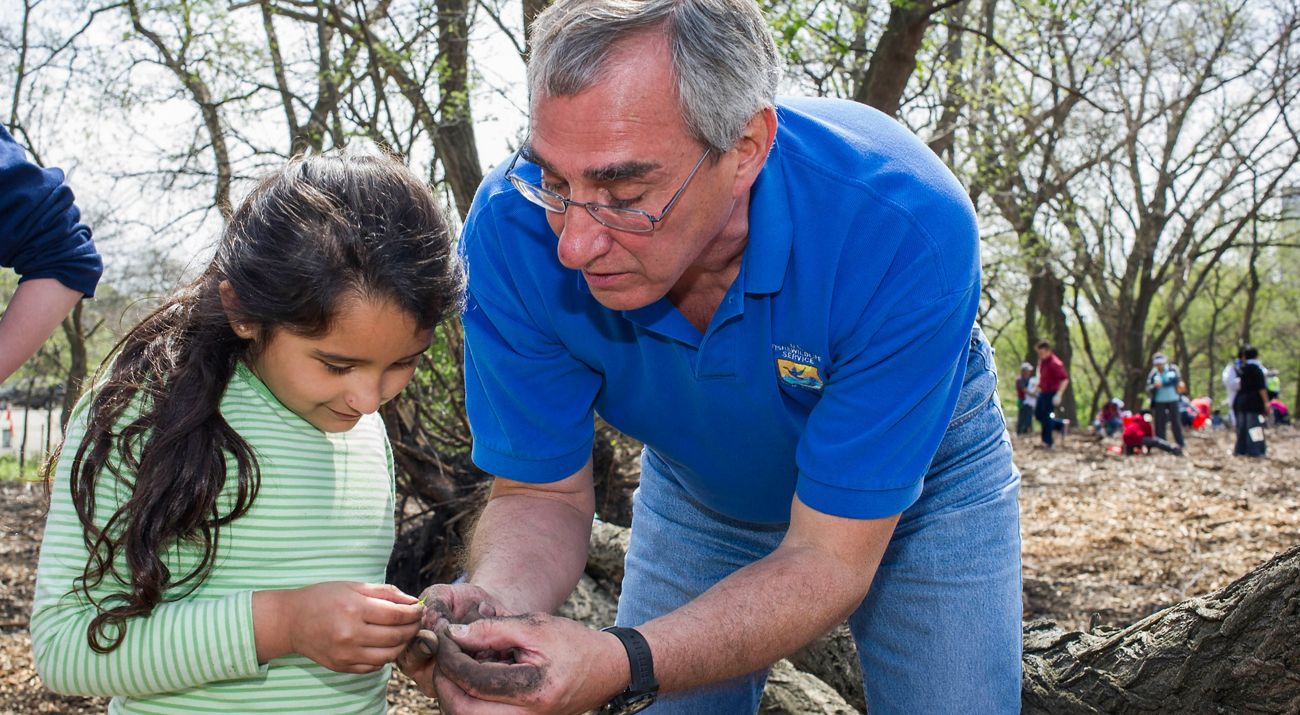 Chicago volunteers plant trees in the city's urban areas.