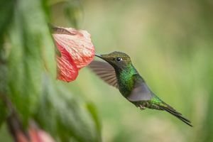 grupo de personas entrevistando a una mujer sentada frente a una camara.