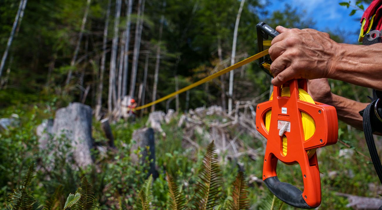 Hands holding measuring tool in a forest.