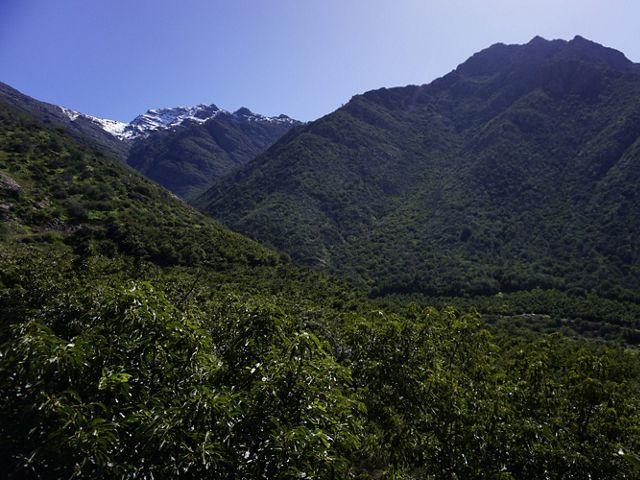Vista del área protegida en Fundo Santa Rosa, Catemu