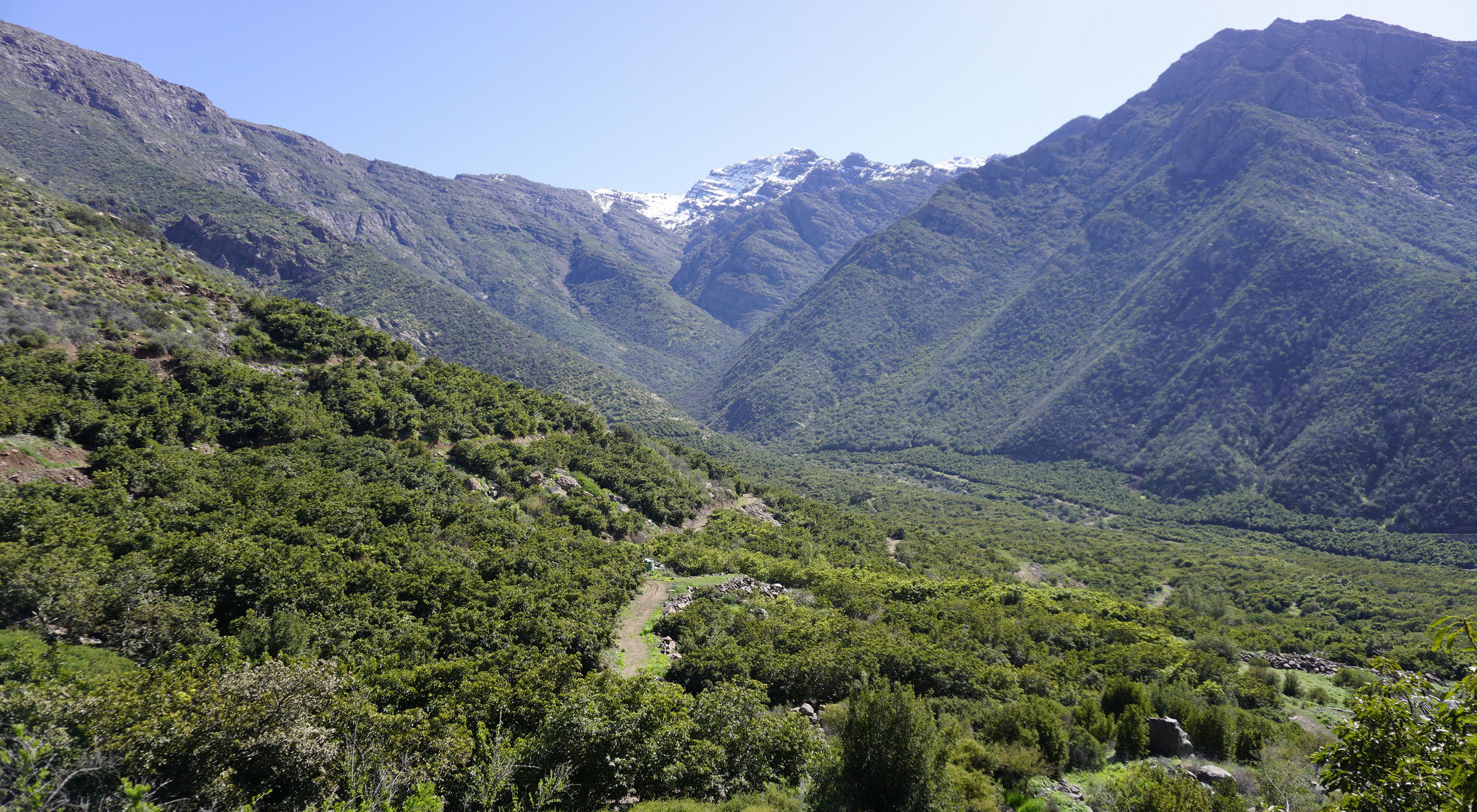 Vista del área protegida en Fundo Santa Rosa de Catemu