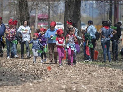Volunteers plant trees in Chicago.