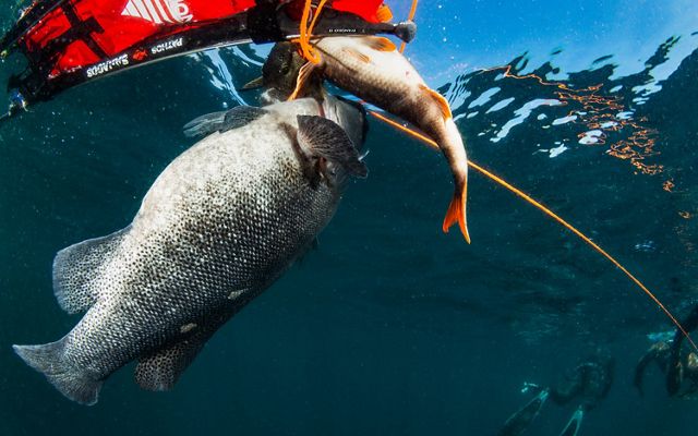 Pesca recreativa en litoral chileno