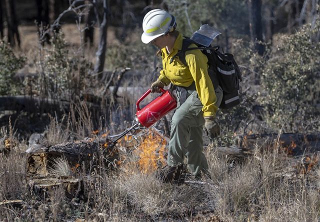 A woman in Nomex wildland firefighting gear uses a drip torch to ignite fuel during a controlled burn.