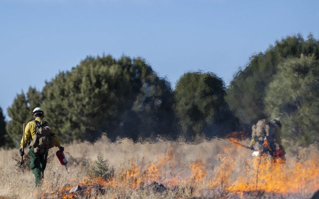 Two people setting fire in grasslands. 