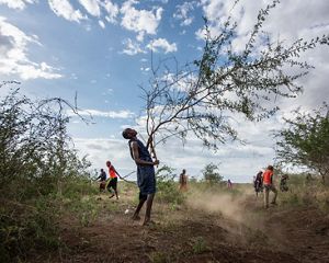 view of grass growing in the sunlight.