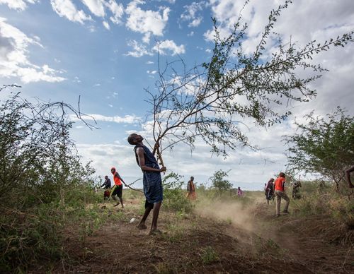 view of grass growing in the sunlight.