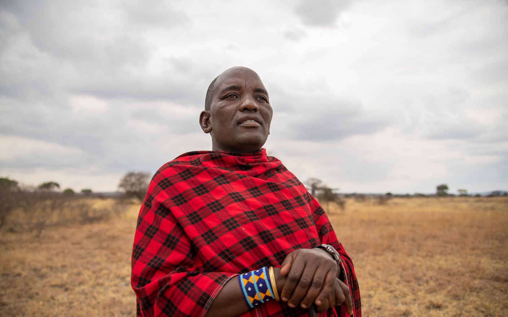 Maasai man looking into the distance