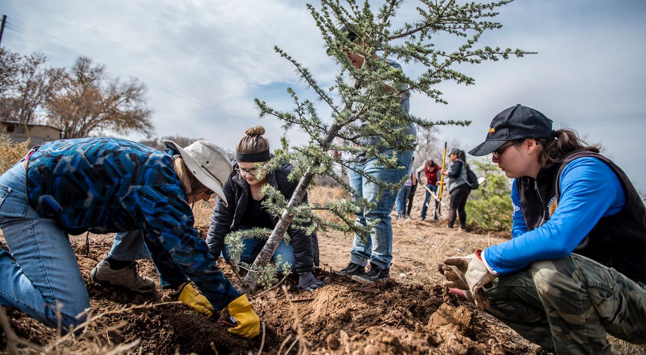 A group of volunteers gathers around for a tree planting demonstration.