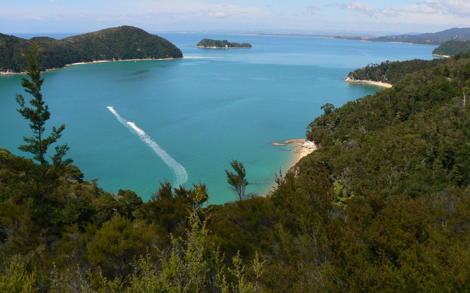 
                
                  Natural ecosystems are protected and restored. Abel Tasman National Park.

                  © Department of Conservation
                
              
