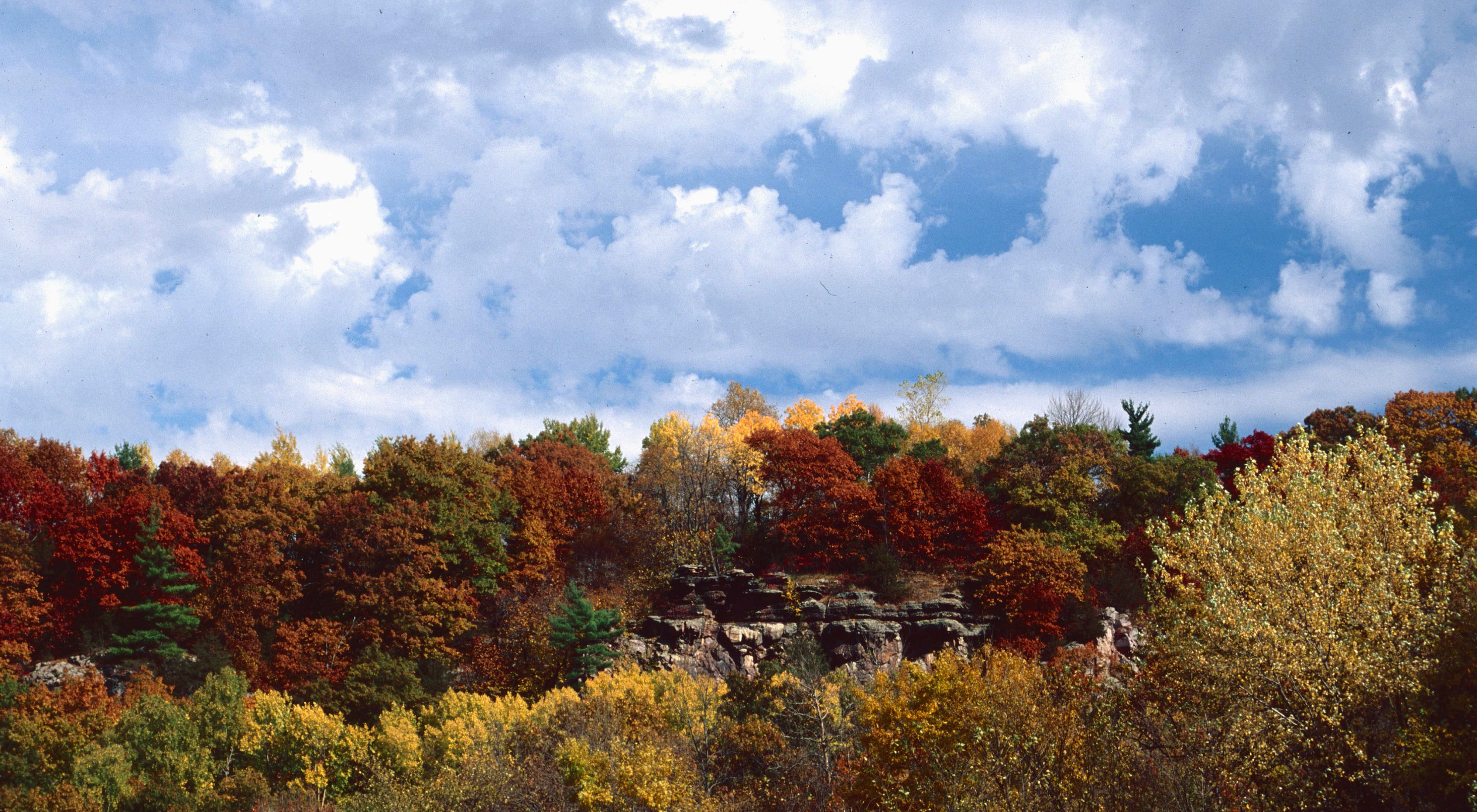 A rocky bluff stands out among the red, yellow and orange leaves on the trees at Ableman’s Gorge with blue sky and puffy white clouds overhead.